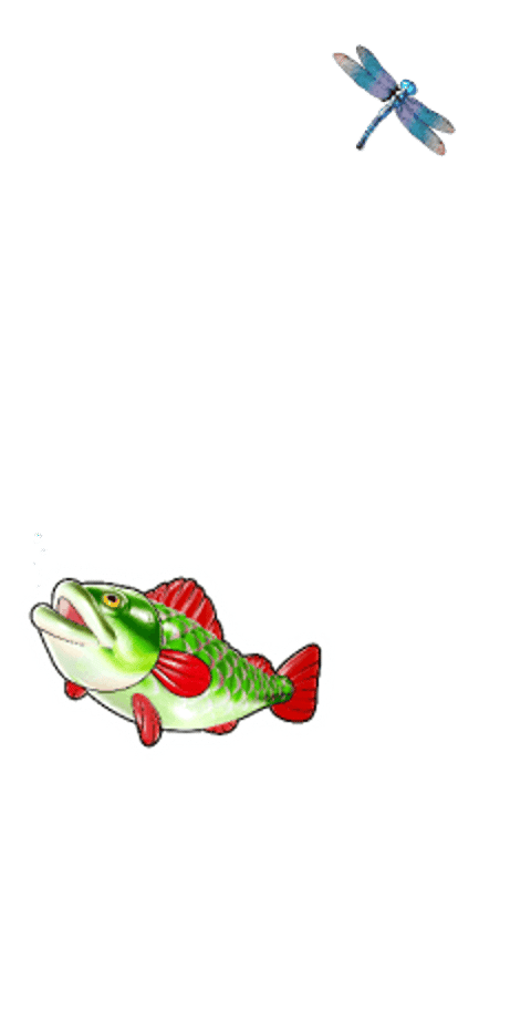 Big Bass Splash asset